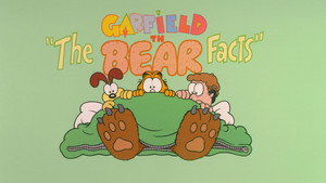 The Bear Facts