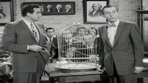The Case of the Perjured Parrot