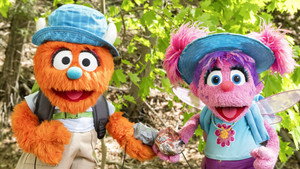 Hike Pirates