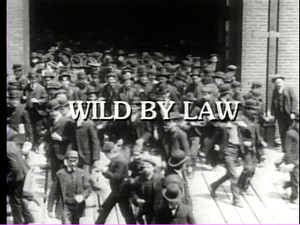 Wild by Law