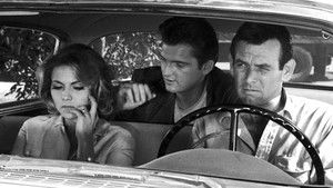 See Hollywood and Die