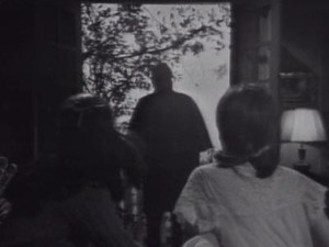 DS-233
