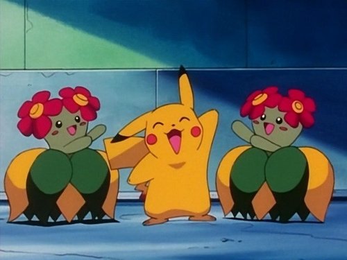 Pokémon - S3E6: Flower Power