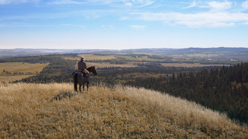 Heartland - S18E3: You Can Lead a Horse to Water