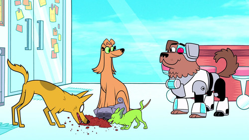 Teen Titans Go! - S3E14: Animals, It's Just a Word!