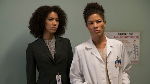 Grey's Anatomy - S13E10: You Can Look (But You'd Better Not Touch)