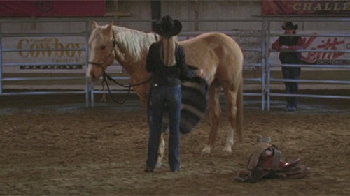 Heartland - S3E17: Ring of Fire