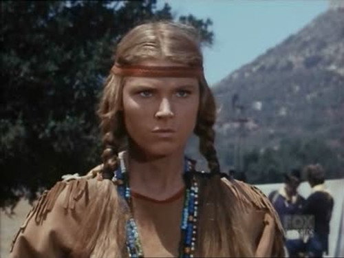 Bonanza - S10E9: The Survivors