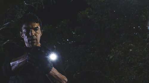 Hawaii Five-0 - S10E18: Nalowale i ke ʻehu o he kai (Lost in the Sea Sprays)