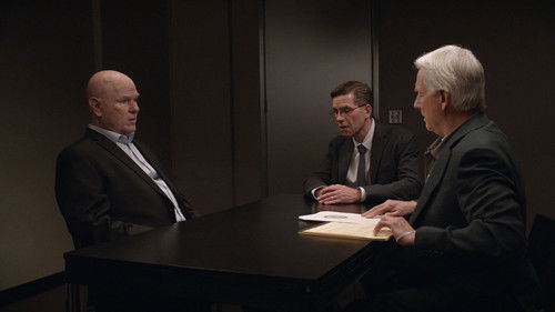 NCIS - S16E16: Bears and Cubs