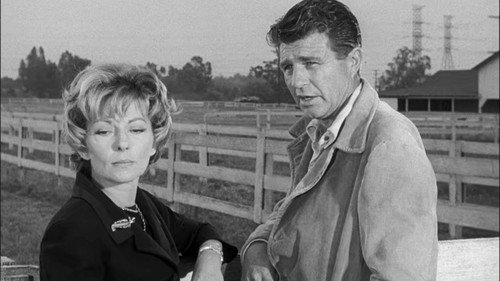 Perry Mason - S6E11: The Case of the Fickle Filly