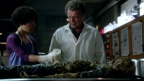 Fringe - S4E3: Alone in the World