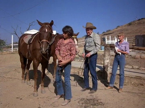Quincy, M.E. - S7E6: For Want of a Horse