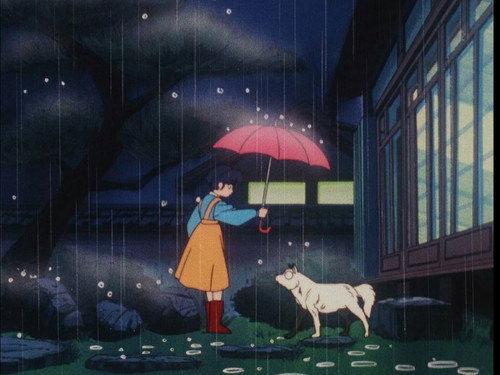 Ranma ½ - S1E158: A Ninja's Dog Is Black and White