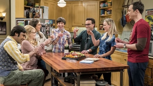 The Big Bang Theory - S10E23: The Gyroscopic Collapse