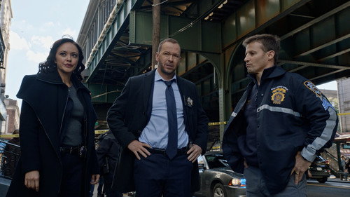 Blue Bloods - S13E7: Heroes