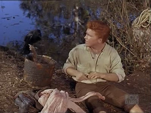 Bonanza - S7E13: A Natural Wizard