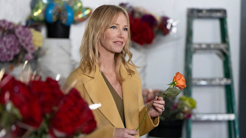 Law & Order: Special Victims Unit - S25E11: Prima Nocta