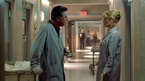 CSI: Crime Scene Investigation - S1E14: To Halve and to Hold
