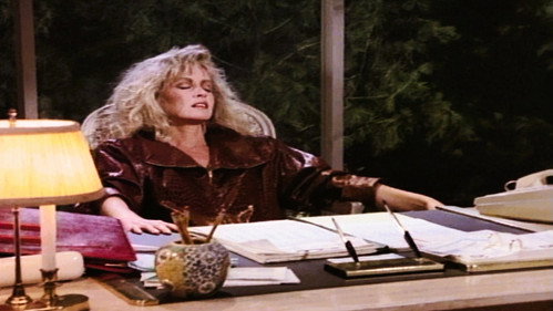 Knots Landing - S9E15: Another Modest Proposal