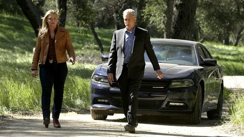 NCIS - S14E22: Beastmaster