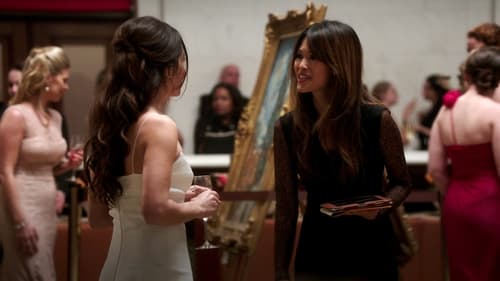 Person of Interest - S3E14: Provenance