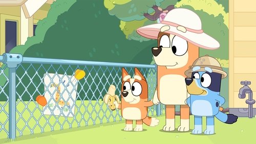 Bluey - S1E35: Zoo