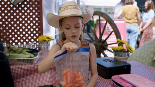 Heartland - S18E8: Throwing Your Hat in the Ring
