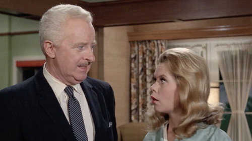 Bewitched - S4E29: A Majority of Two