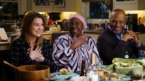 Grey's Anatomy - S13E18: Be Still, My Soul