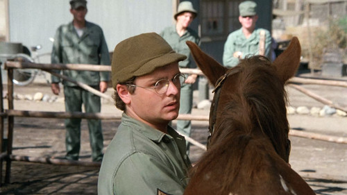 M*A*S*H - S5E11: The Colonel's Horse