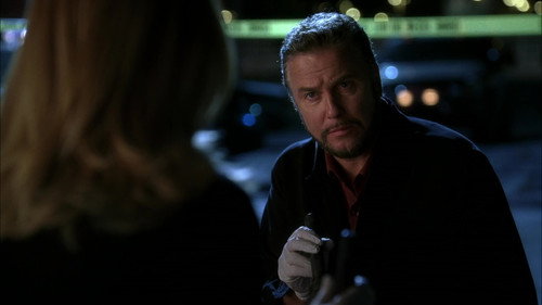 CSI: Crime Scene Investigation - S5E24: Grave Danger (1)