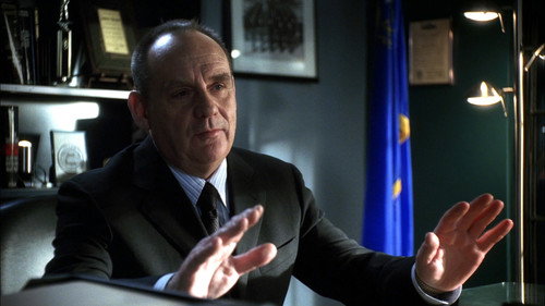 CSI: Crime Scene Investigation - S7E17: Fallen Idols