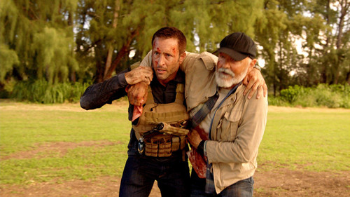 Hawaii Five-0 - S9E10: Pio ke kukui, poʻele ka hale (When the Light Goes Out, the House Is Dark)