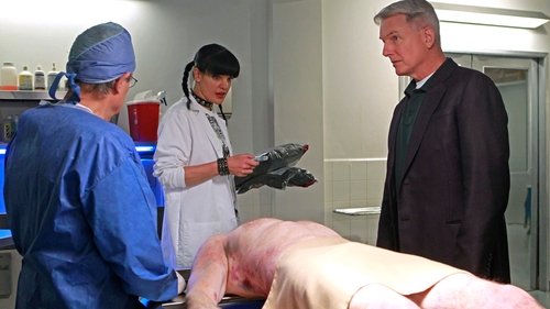 NCIS - S9E10: Sins of the Father