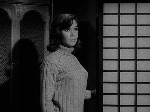 Perry Mason - S9E27: The Case of the Misguided Model