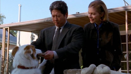 Martial Law - S2E14: Dog Day Afternoon