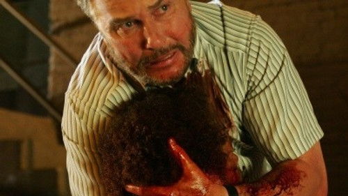 CSI: Crime Scene Investigation - S9E1: For Warrick
