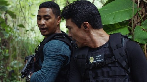Hawaii Five-0 - S10E8: Neʻe aku, neʻe mai ke one o Punahoa (That Way and This Way Shifts the Sand of Punahoa)