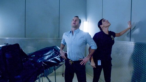 Hawaii Five-0 - S5E20: Ike Hānau (Instinct)