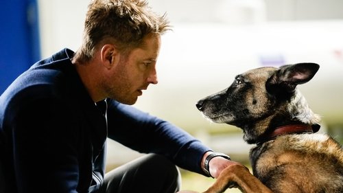 Tracker - S2E7: Man's Best Friend