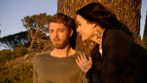 Blindspot - S3E22: In Memory
