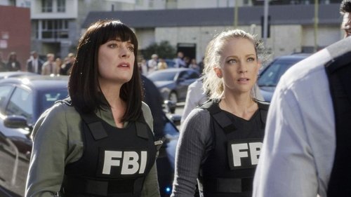 Criminal Minds - S14E7: Twenty Seven