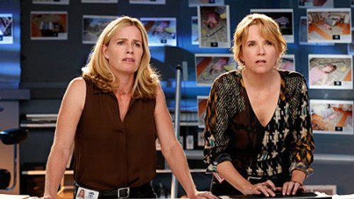 CSI: Crime Scene Investigation - S14E7: Under a Cloud