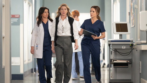 Grey's Anatomy - S22E18: Bridge Over Troubled Water