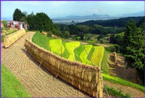 NOVA - S28E7: Japan's Secret Garden