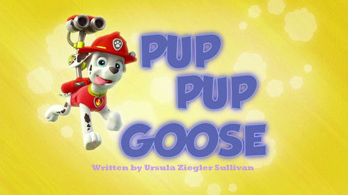 PAW Patrol - S1E9: Pup Pup Goose