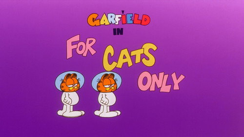 Garfield and Friends - S3E48: For Cats Only