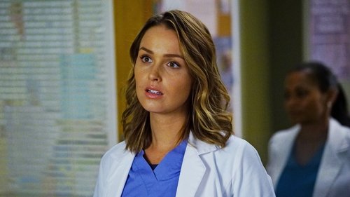 Grey's Anatomy - S13E4: Falling Slowly