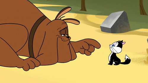 New Looney Tunes - S3E12: Pussyfoot Soldier